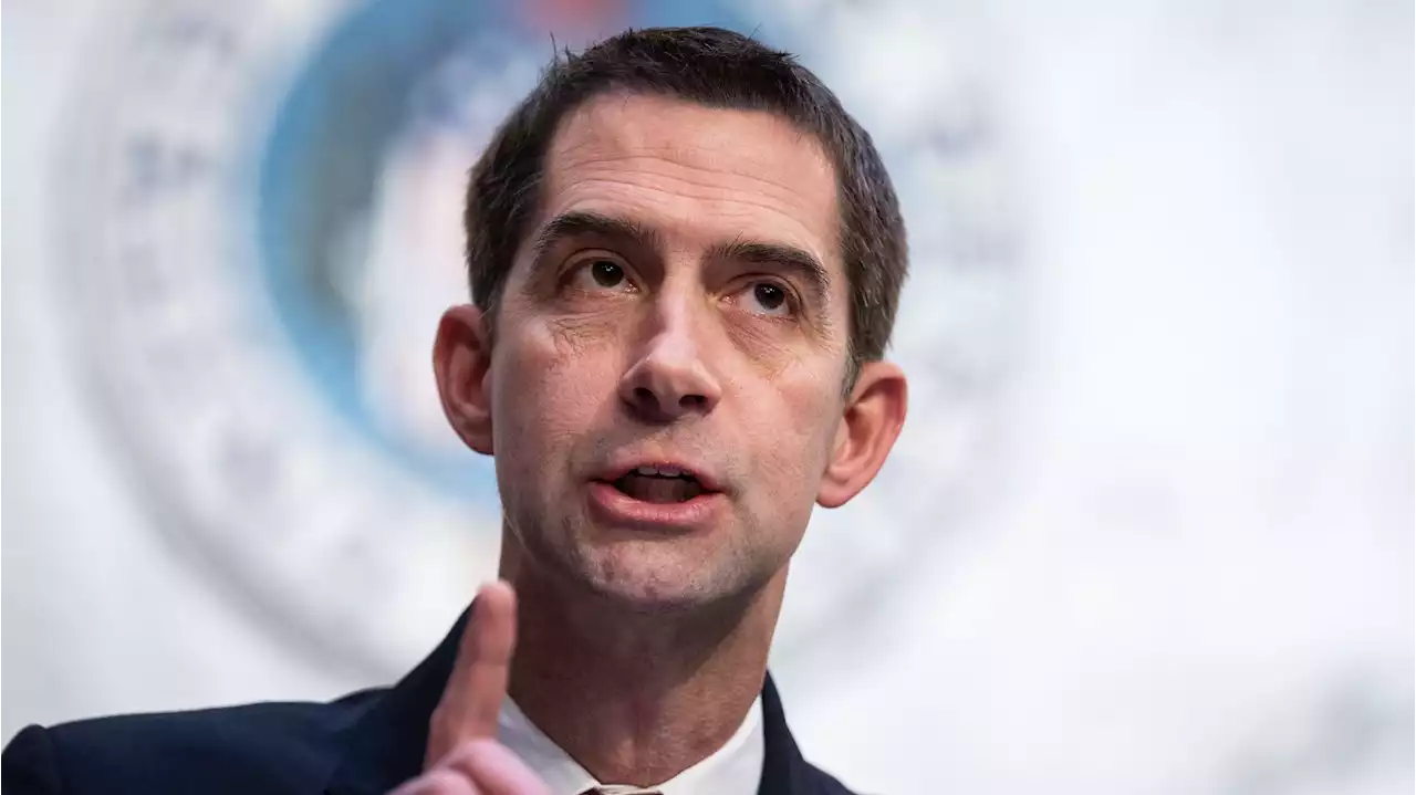 Tom Cotton Says Ketanji Brown Jackson Would Have Defended Nazis At Nuremberg