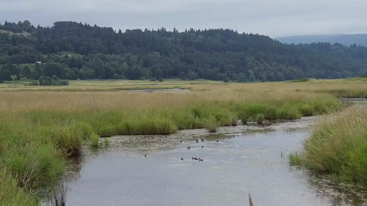 Wildlife refuge to reopen after $31M restoration project