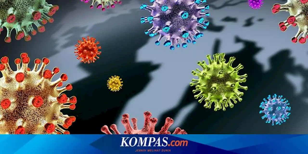 Waspada Varian Virus Corona XE, Lebih Menular dari Omicron