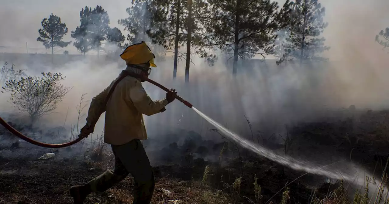 El Gobierno Córdoba anuncia acciones para prevenir los incendios | Ciudadanos | La Voz del Interior