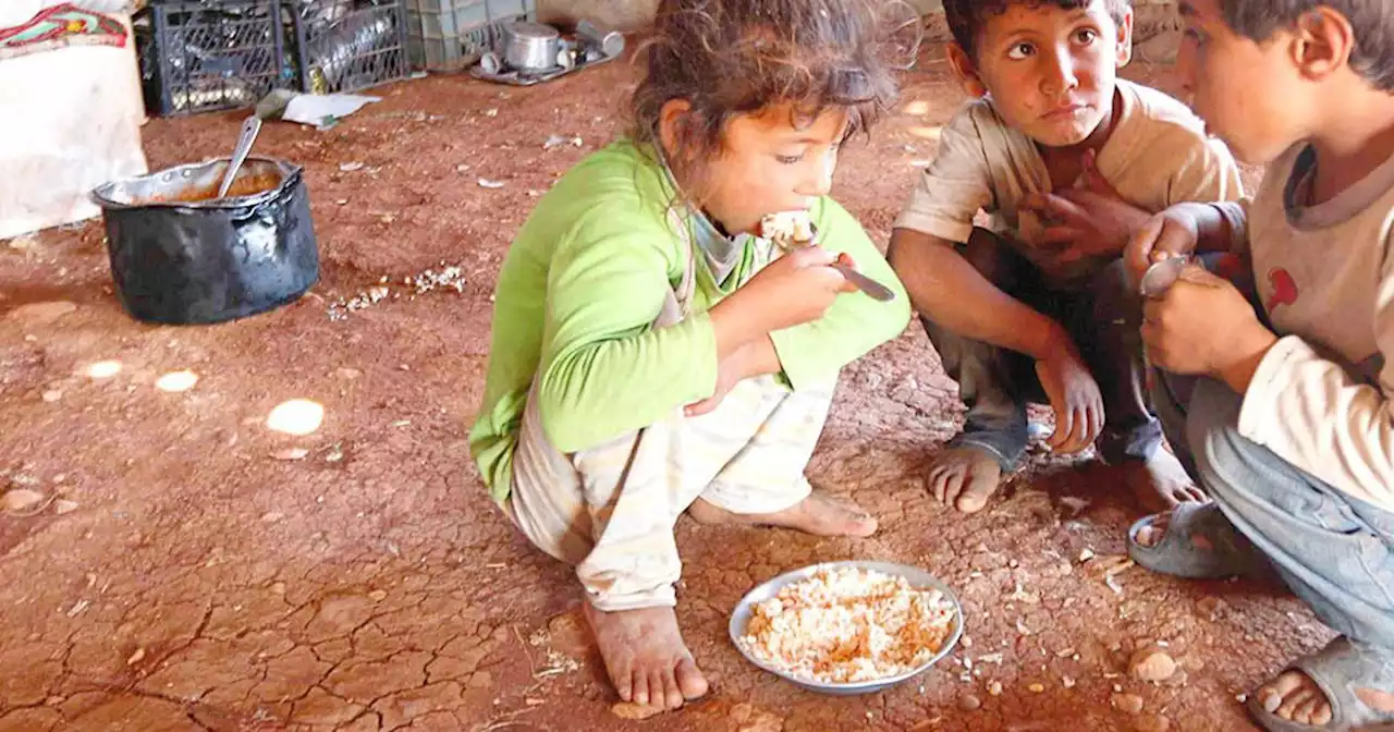 La guerra argentina es contra el hambre | Opinión | La Voz del Interior