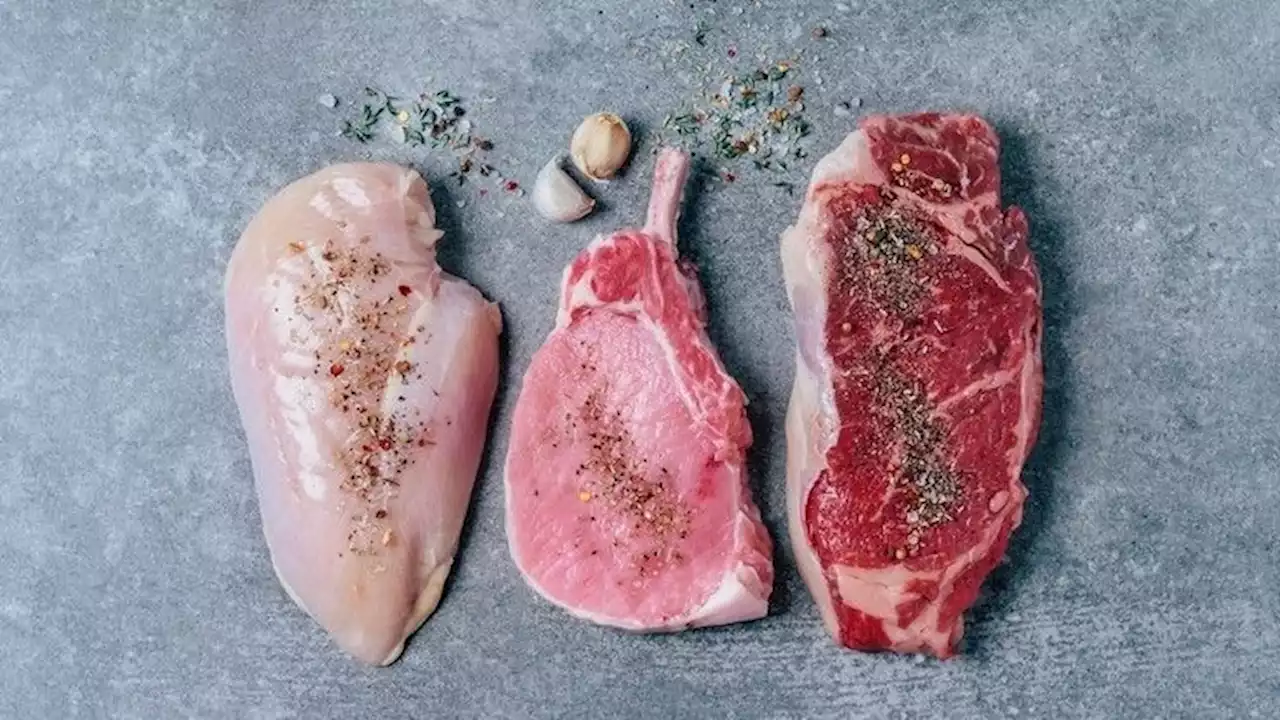 Do you need to eat meat to get protein?