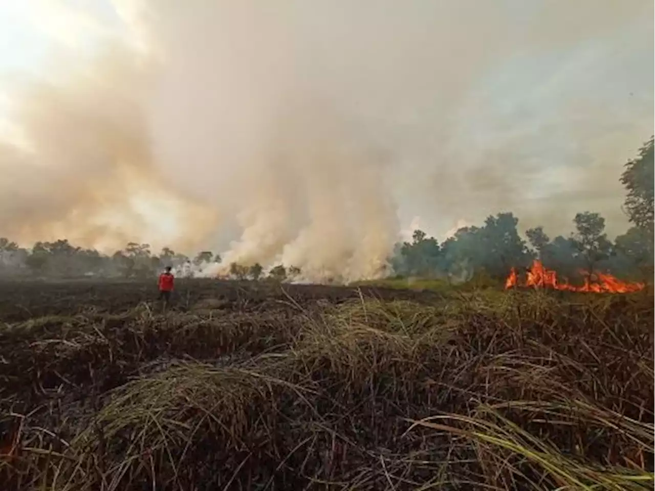 82 Desa Rawan Karhutla, Pemkab Muba Dirikan 9 Pos Pantau