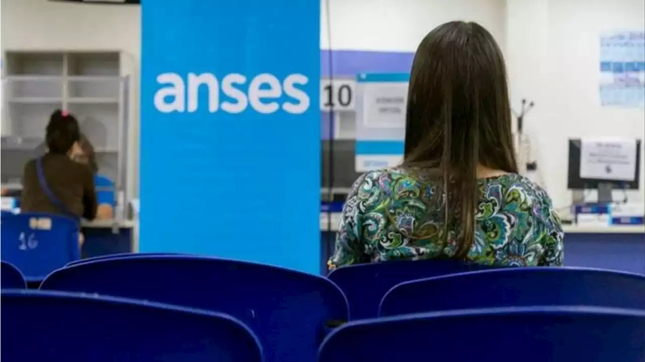 Libreta AUH ANSES: ¿para qué sirve y cómo se gestiona?