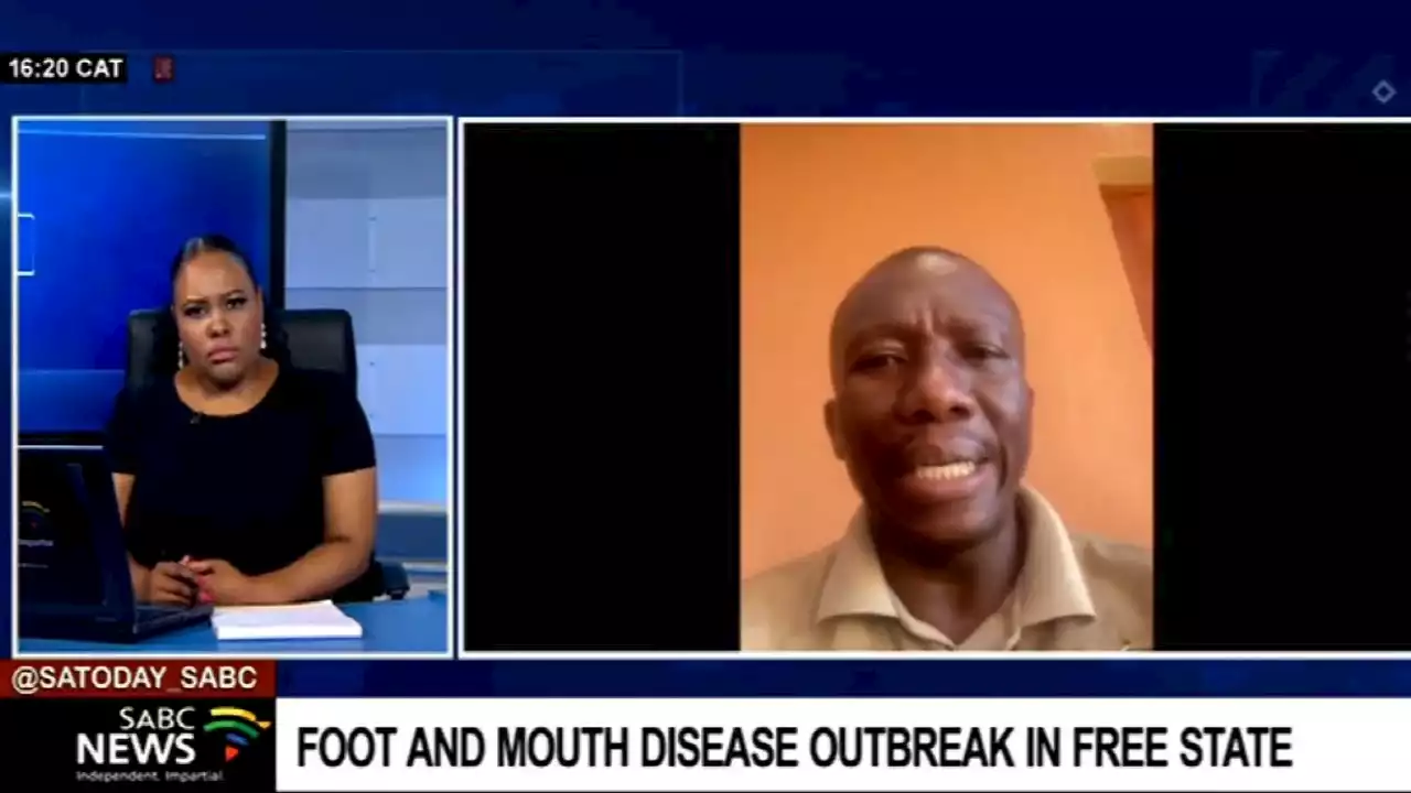 Foot and mouth disease outbreak in Free State: Dr Kristan Mojapelo