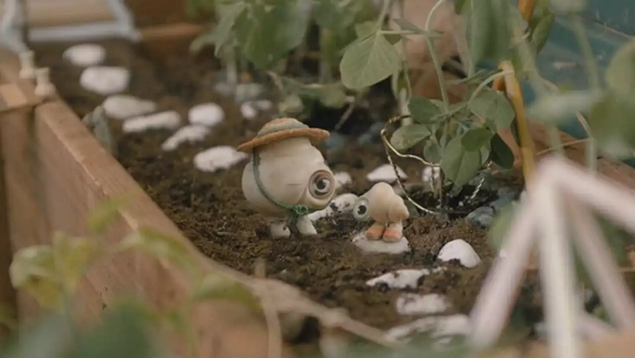 Marcel The Shell Is Getting His Own Movie