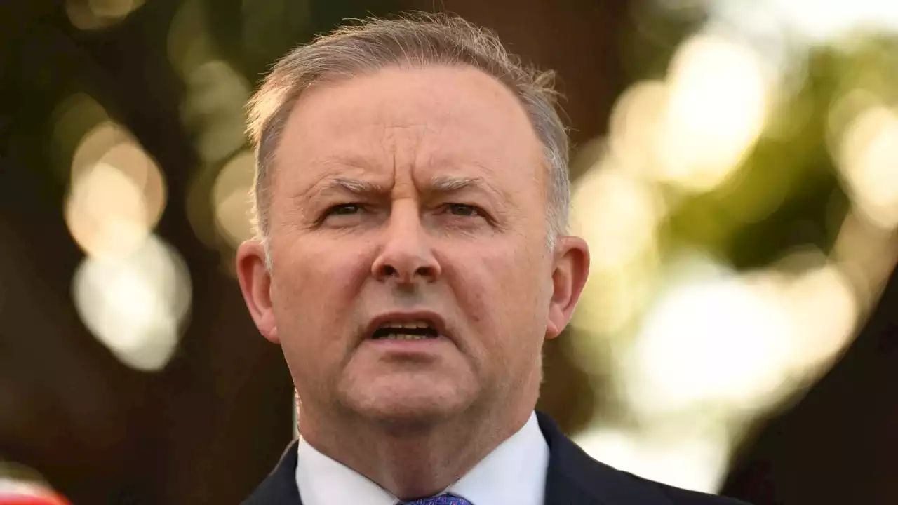 Albanese&#8217;s campaigning in WA didn&#8217;t &#8216;go to plan&#8217; because a &#8216;normal person got involved&#8217;