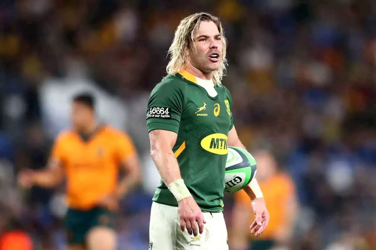 Bok World Cup stars De Klerk, De Jager to leave Sharks