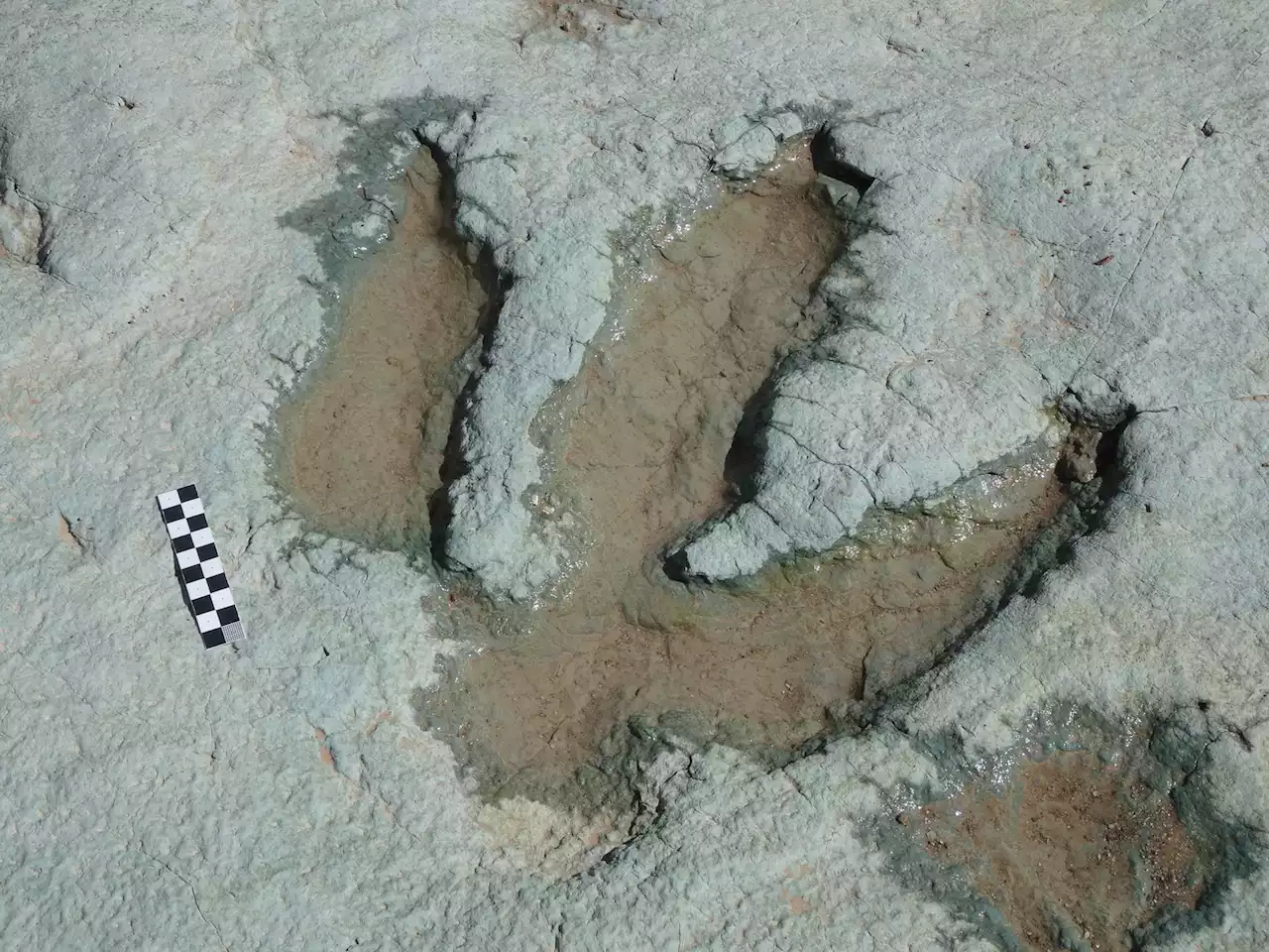 Construction damages 112 million-year-old dinosaur tracks in Utah