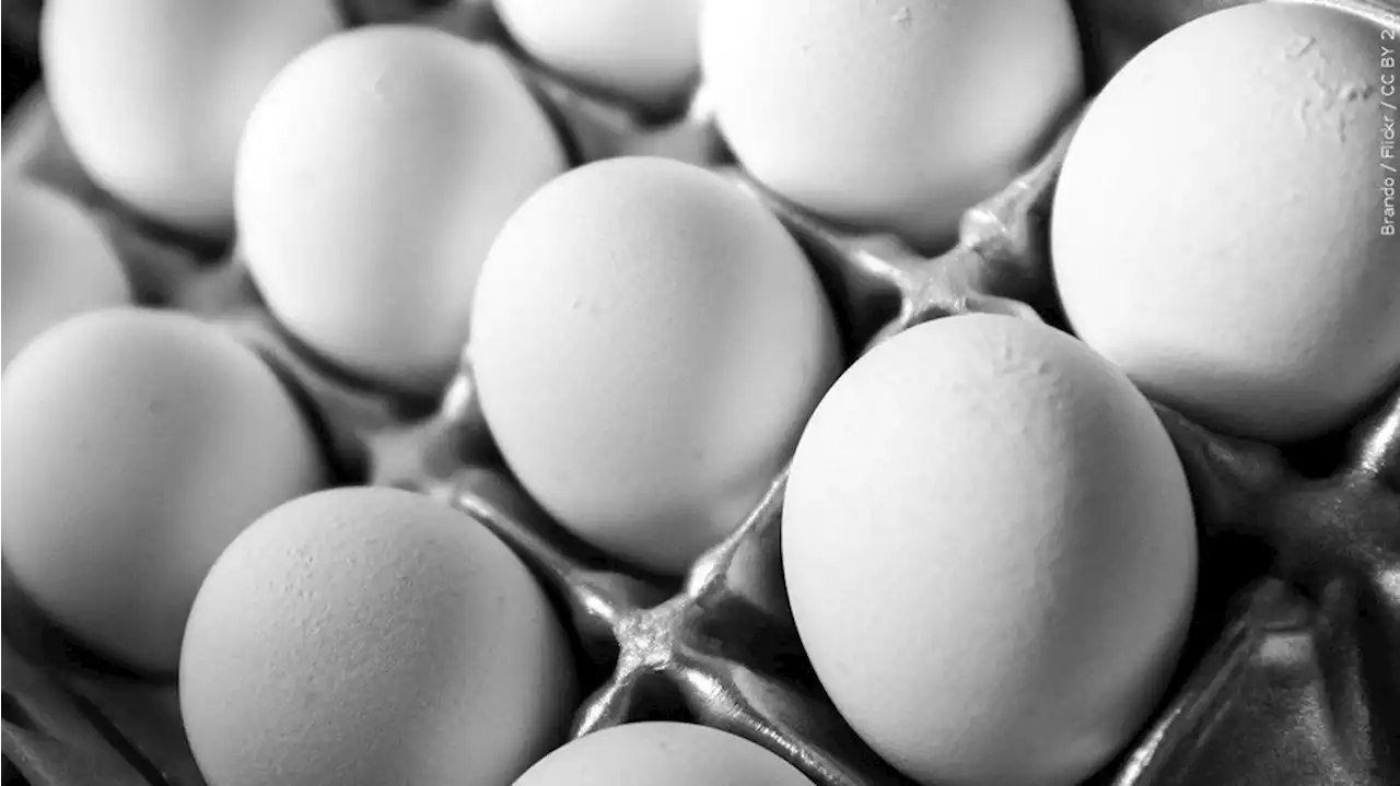 Egg prices spike amid bird flu outbreaks at U.S. farms