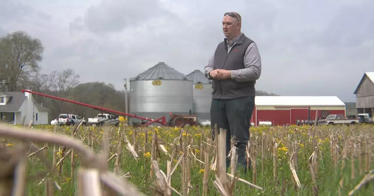 Farmers worry about food supply amid soaring fertilizer prices