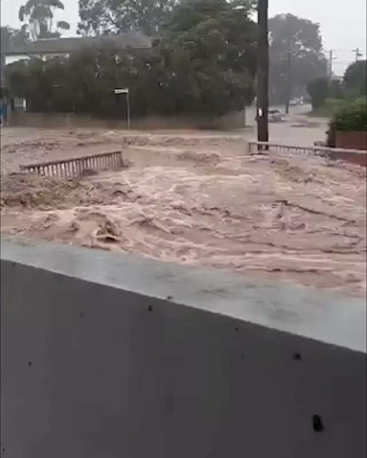 A month's worth of rain falls on Sydney in just 24 hours