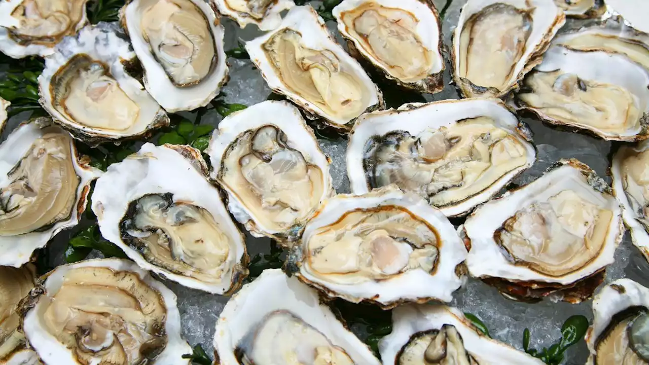 Oysters linked to norovirus outbreak, FDA says