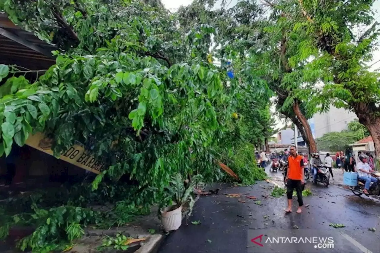 Jawa Tengah bagian selatan sudah memasuki masa pancaroba