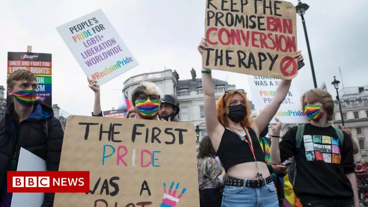 Mental health groups call for trans conversion therapy ban