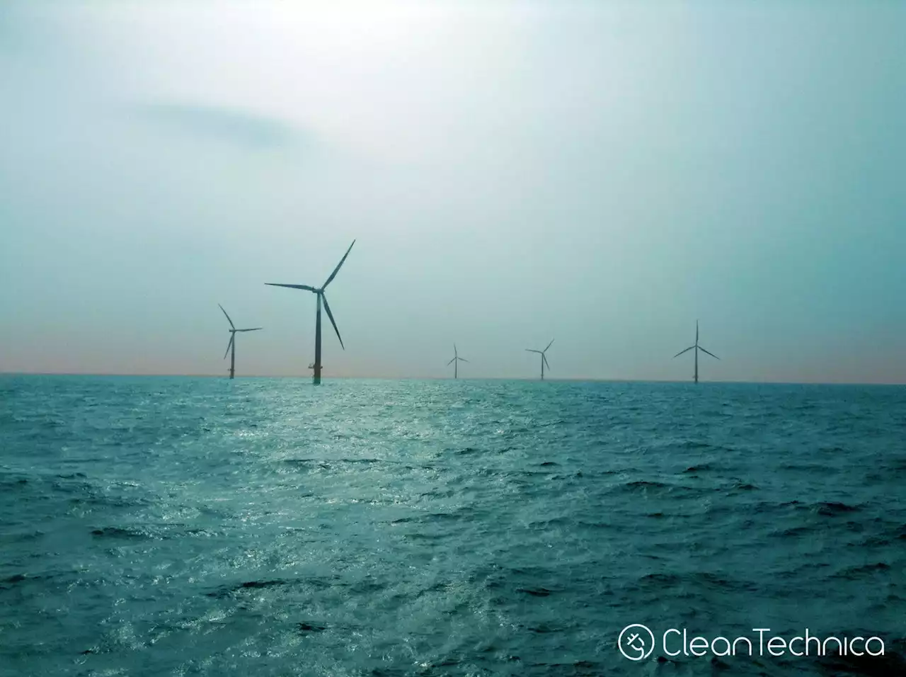 Environmental Monitoring Priorities for Offshore Wind