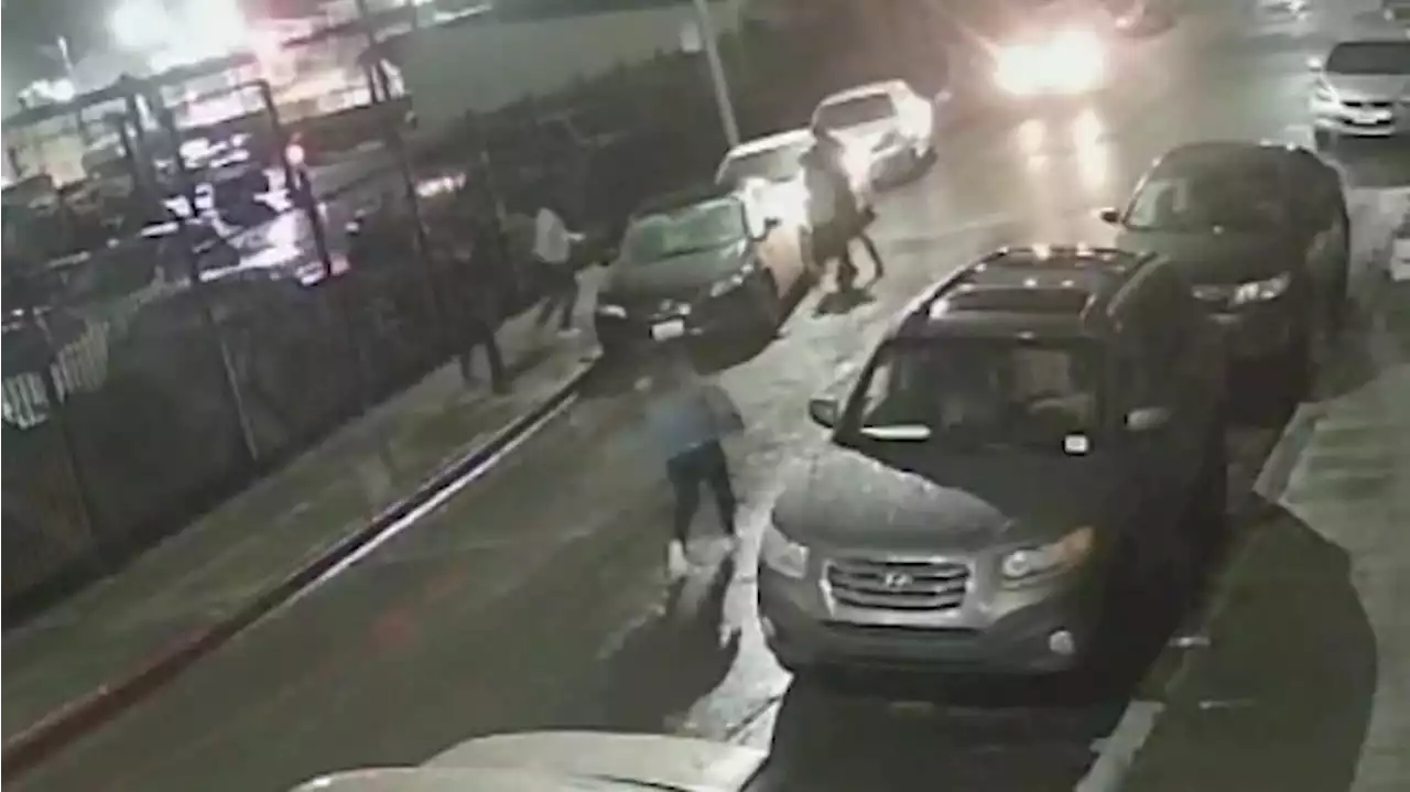 VIDEO: Robbers get away with car and wedding dress in violent carjacking