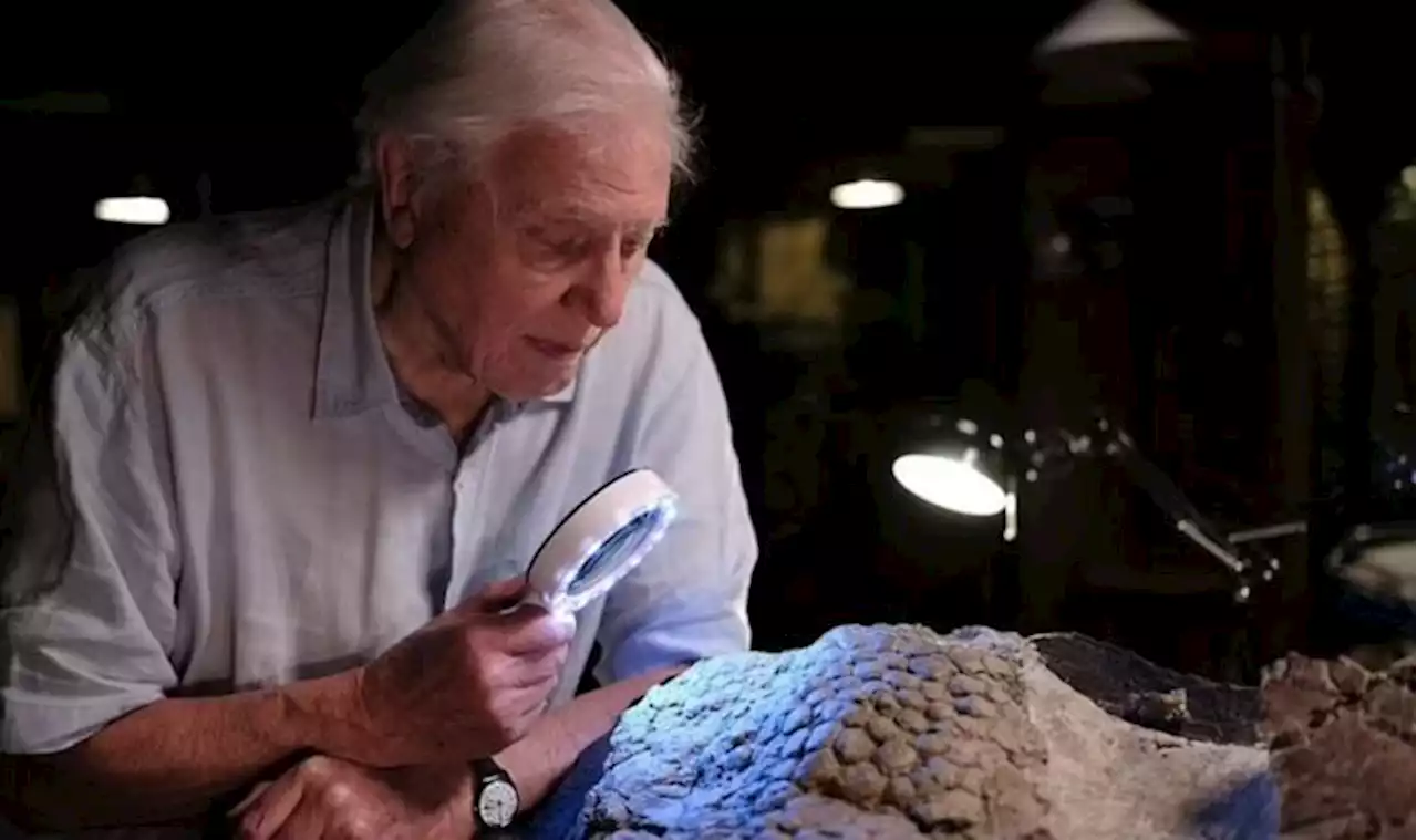 Attenborough stunned as fossil found from THE DAY the dinosaurs died- ‘That’s Impossible!’