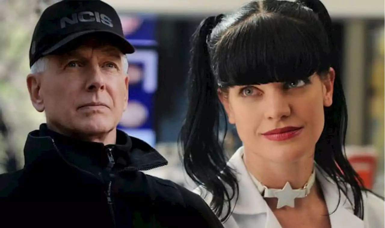 How to watch all 19 seasons of NCIS online right now