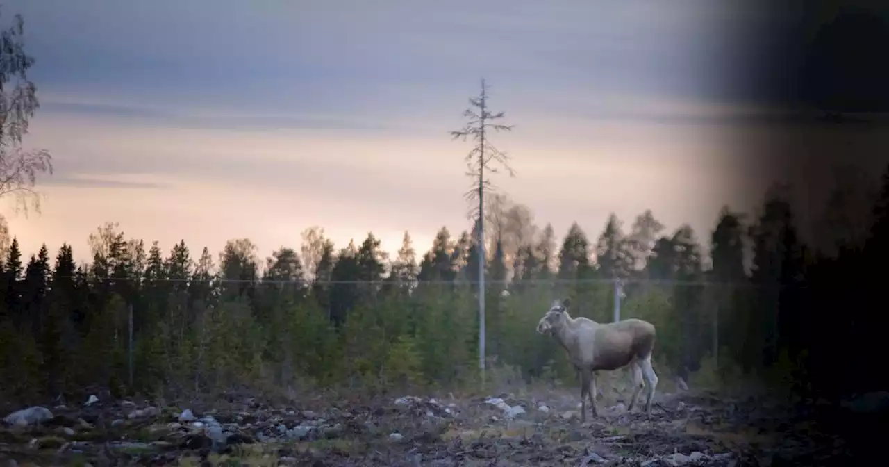 ”Vi är sämst i klassen”