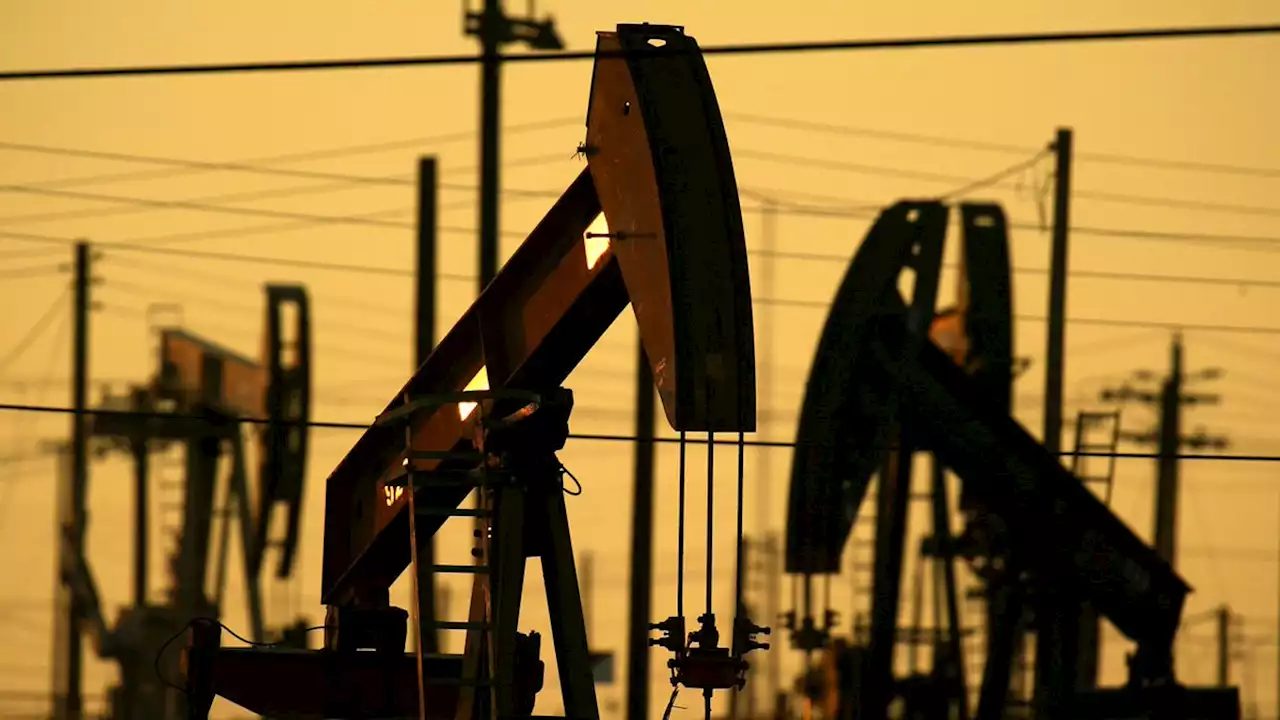 U.S. Allies Reportedly Plan To Release 60 Million Barrels Of Oil To Dampen Prices