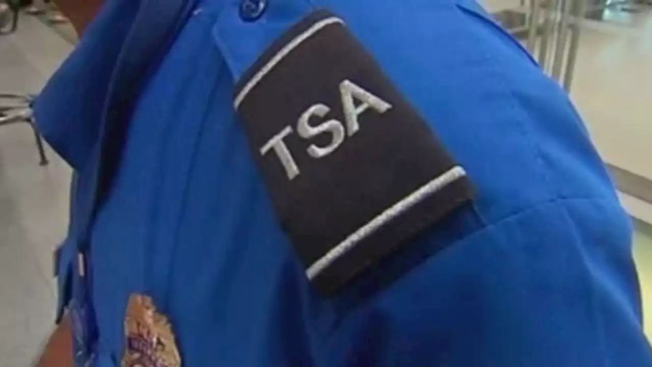 How do I navigate TSA check-in lines at Austin-Bergstrom?