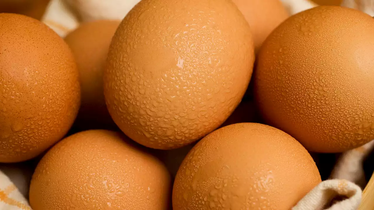 Easter 2022: Inflation, bird influenza causing rise in egg prices