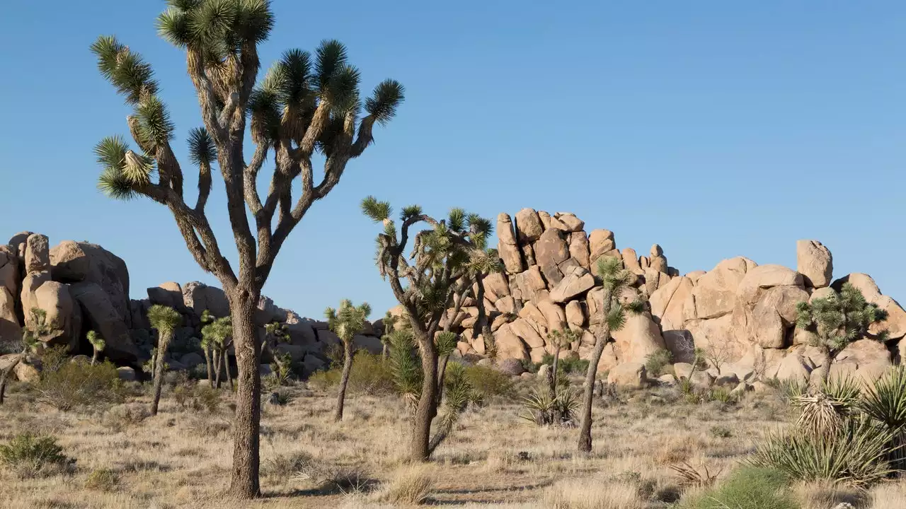 How to get a free California State Parks pass with your library card