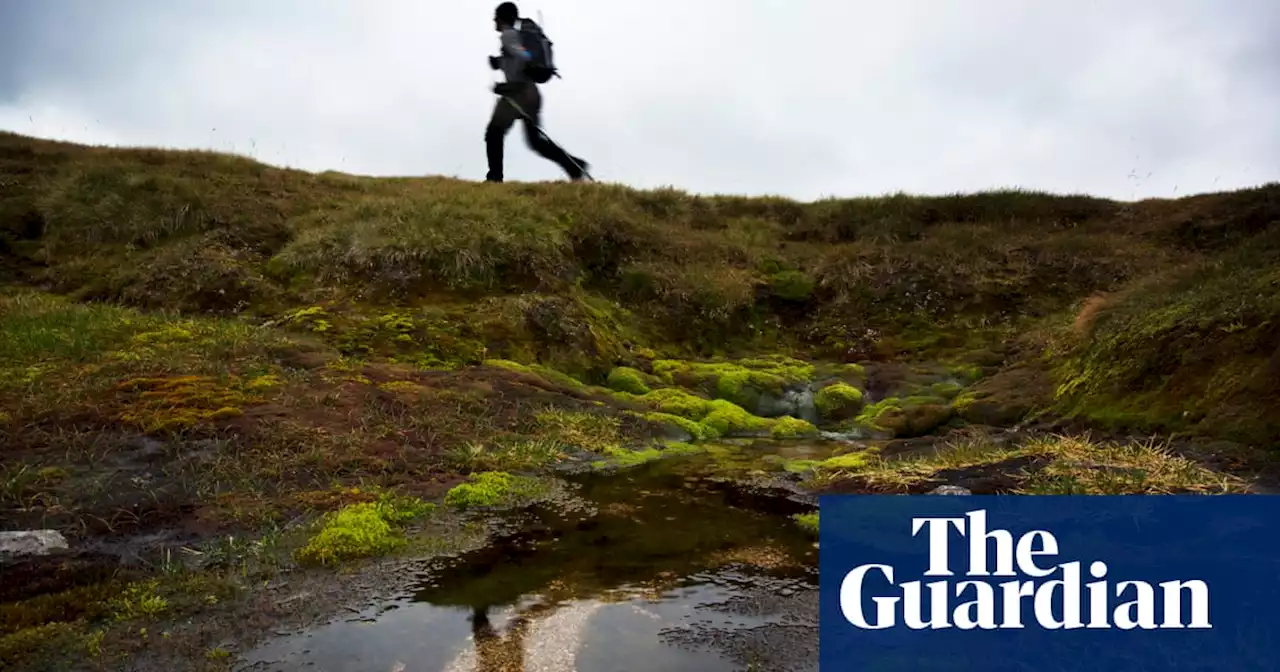 Metronome by Tom Watson review – fragile hopes of escape
