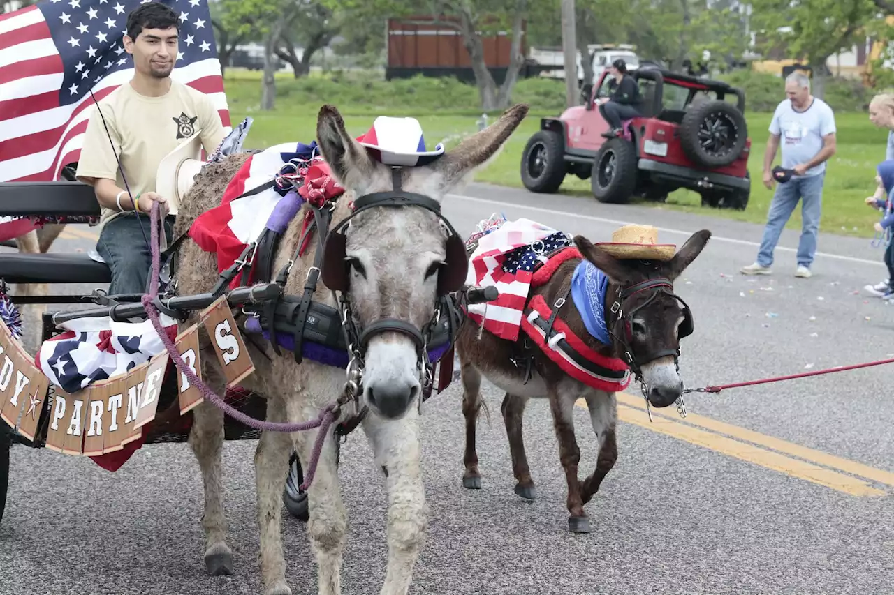 Upcoming events include Galveston County fair, rodeo