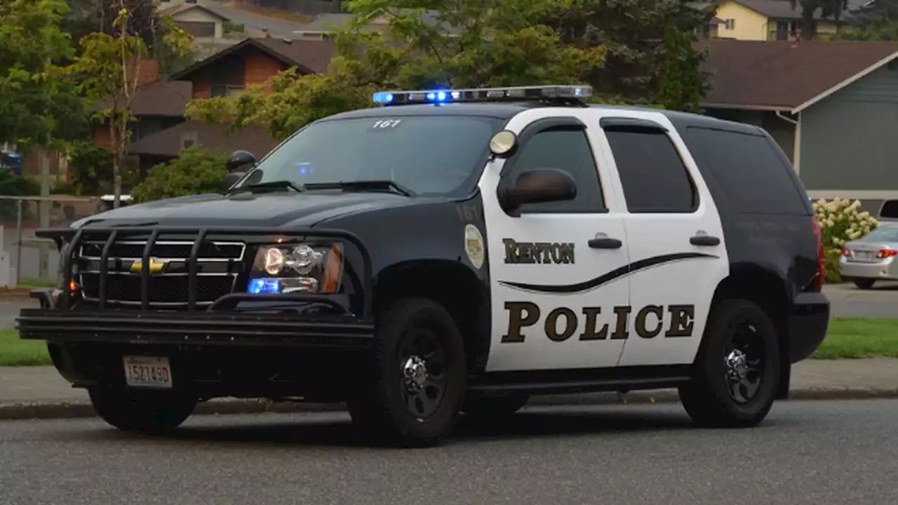 Renton police make several copper wire theft arrests