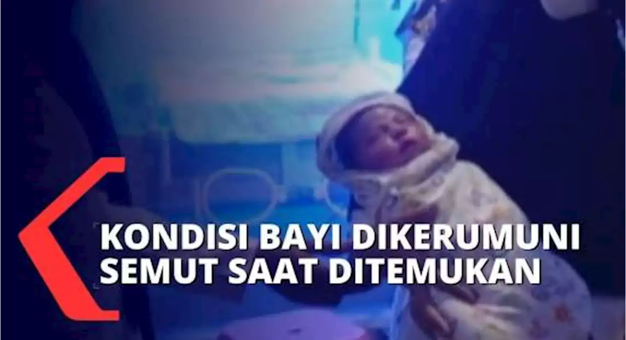 Warga Maros Dihebohkan Temuan Bayi Perempuan di Rumah Kosong yang Diduga Baru Dilahirkan!