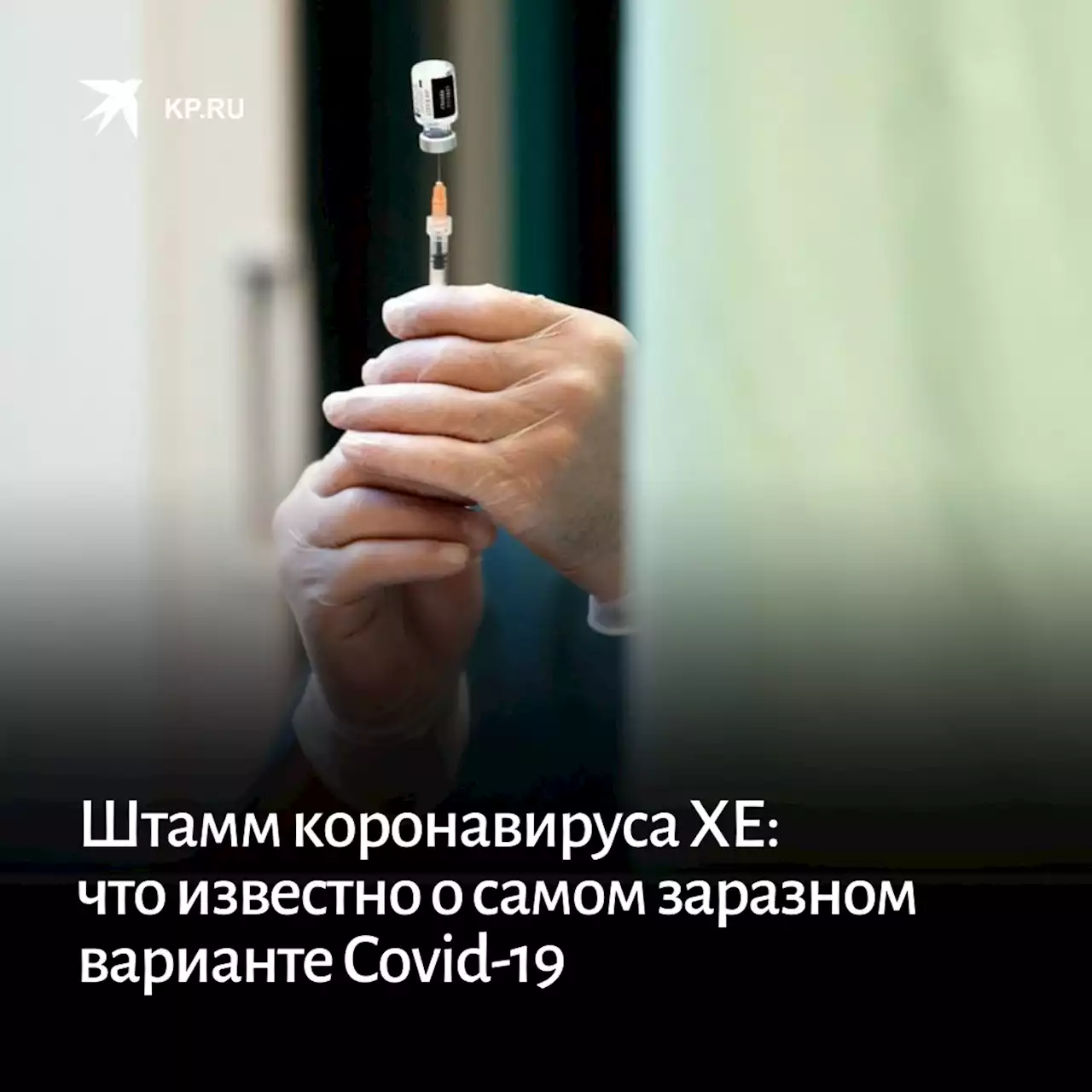 Штамм коронавируса ХЕ: что известно о самом заразном варианте Covid-19