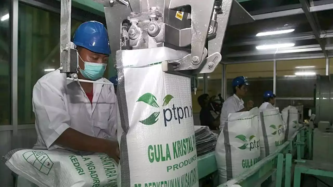 PTPN III Butuh Lahan 250 Ribu Hektare Demi Swasembada Gula di 2025