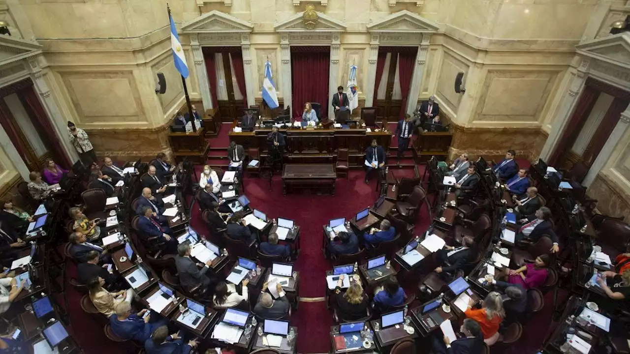 El Senado debate la reforma del Consejo de la Magistratura