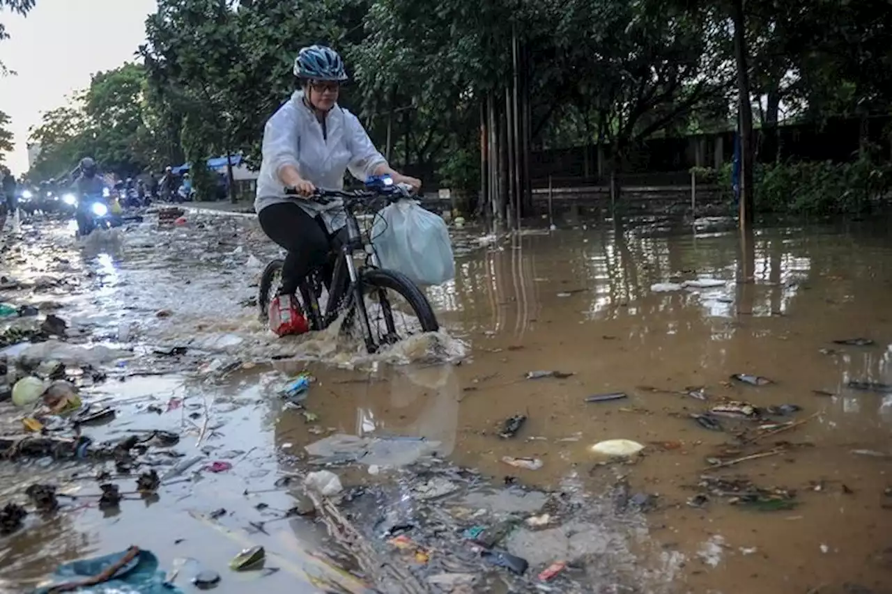 Bumi yang Sakit, Kita yang Koit - Pikiran-Rakyat.com