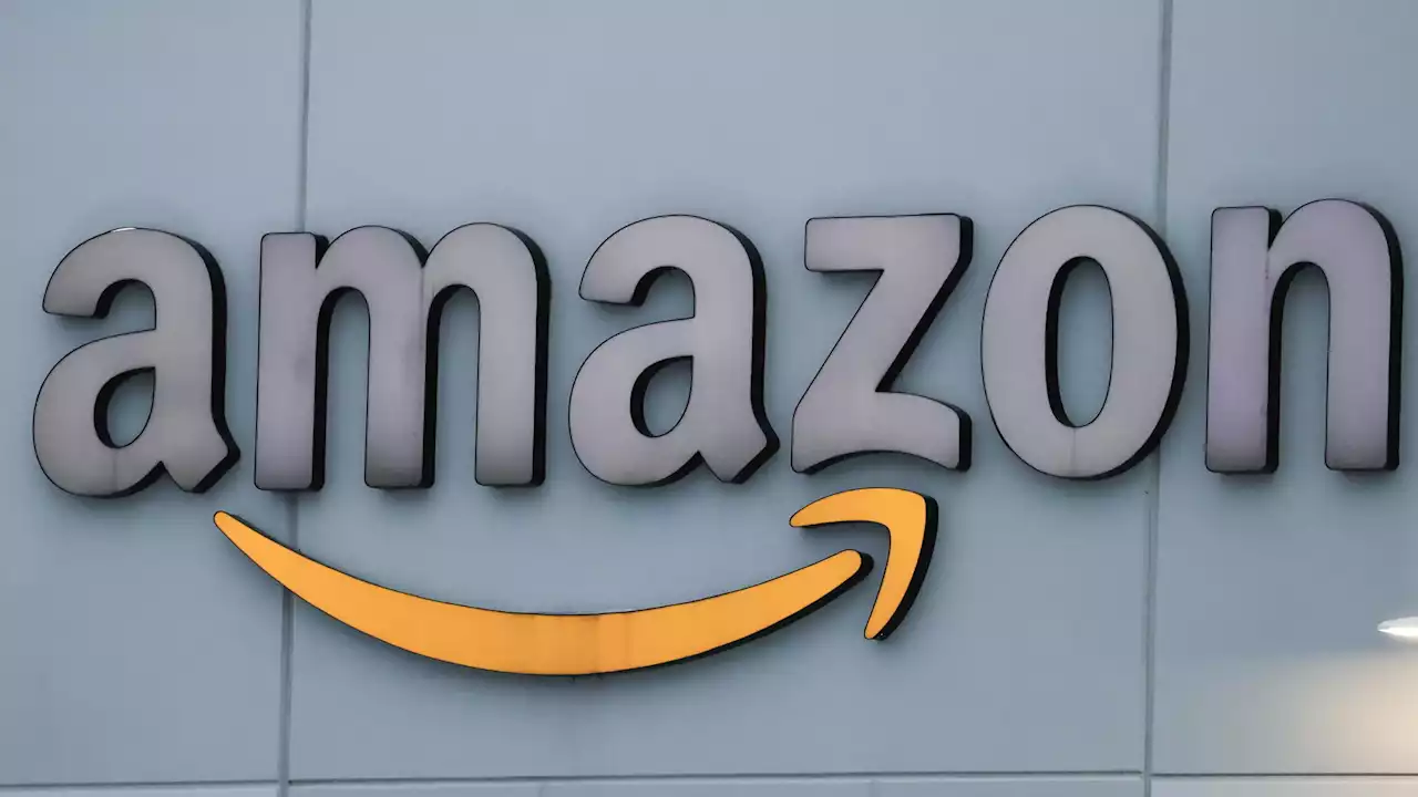 Usa, Amazon: indagine sull'uso dei dati dei venditori per fare propri prodotti