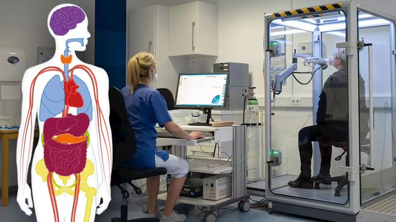 Long Covid: Welche Corona-Spätfolgen im Körper am häufigsten auftreten