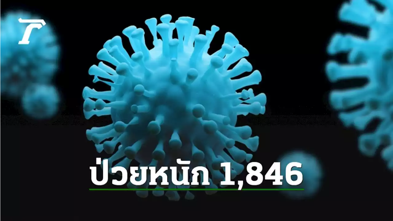 โควิดวันนี้ ยอด PCR บวก ATK เข้าข่าย รวม 50,809 ราย ดับเพิ่มอีก 91 ศพ