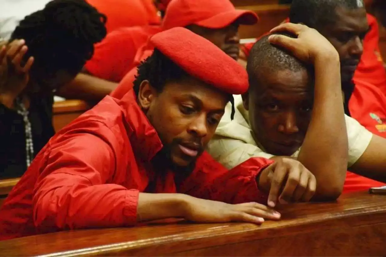 Malema and Ndlozi back in the dock for cop assault trial