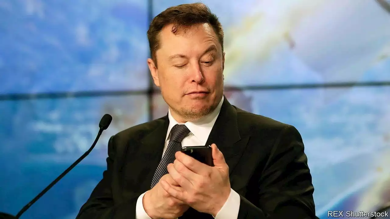 Is investing in Twitter a meme too far for Elon Musk?