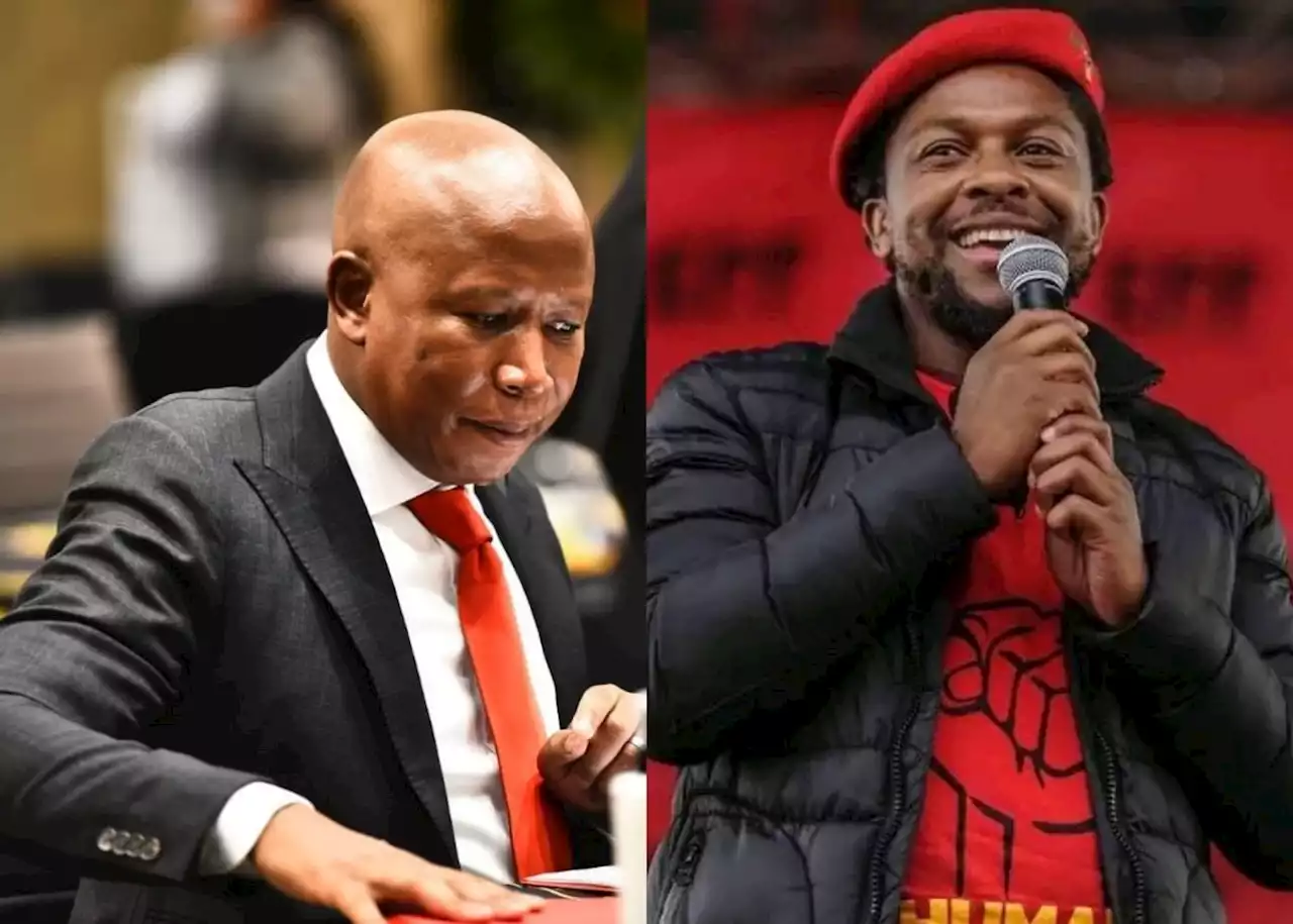 Malema and Ndlozi back in court for 2018 assault of police officer