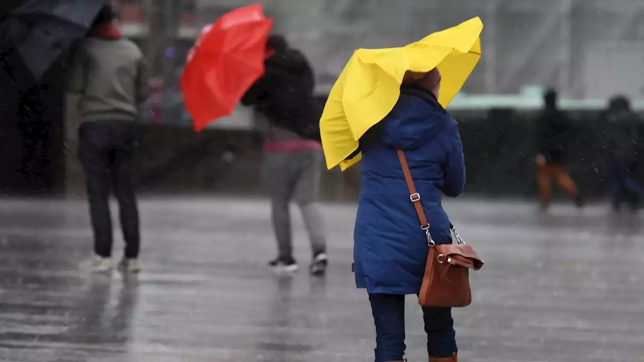 Stürmisch mit Regen: Unwetterwarnung für Eifel und Sauerland