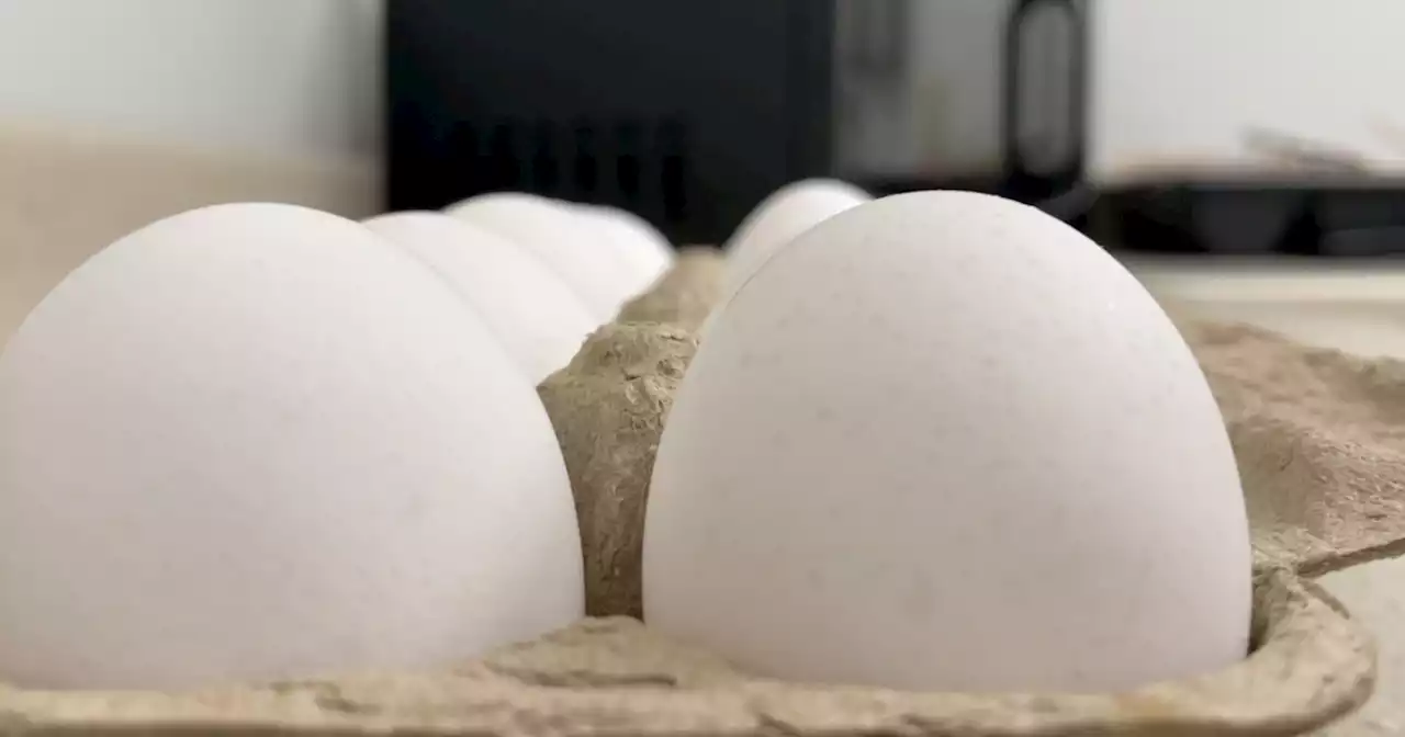 Egg prices going up, bird flu to blame