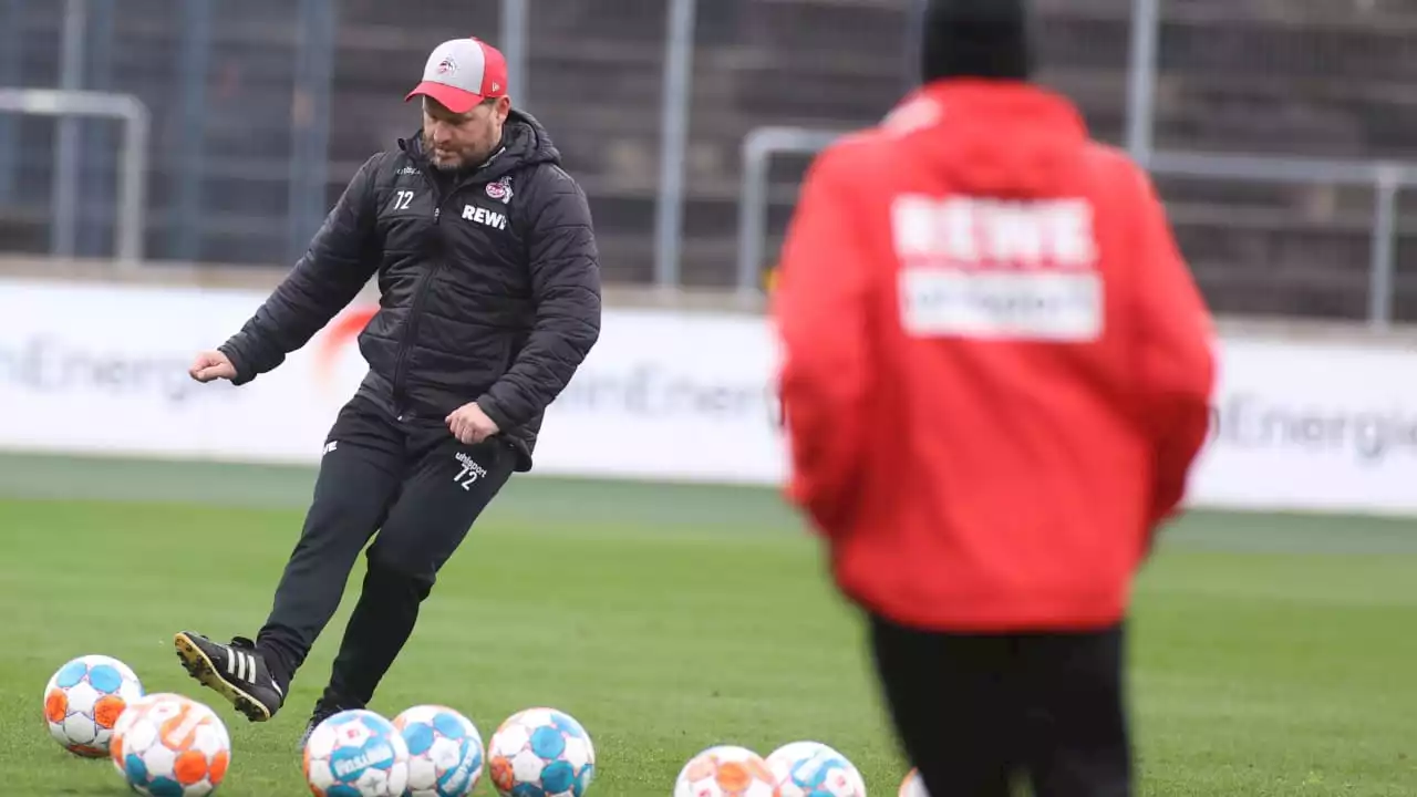 1. FC Köln: Hier macht Steffen Baumgart Anthony Modeste heiß!