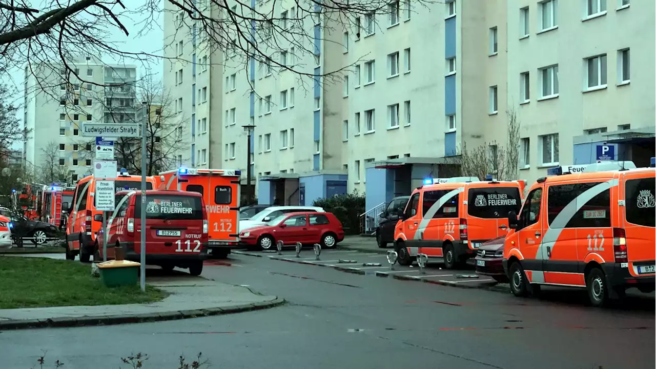 Feuertragödie in Hellersdorf – Mutter gestorben, Kind schwer verletzt