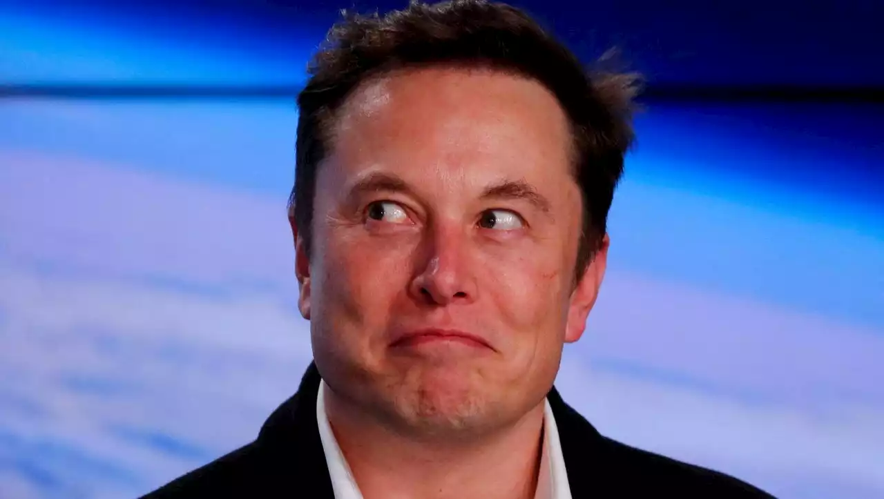 (S+) Elon Musk bei Twitter: Wenn der Troll den Laden kauft