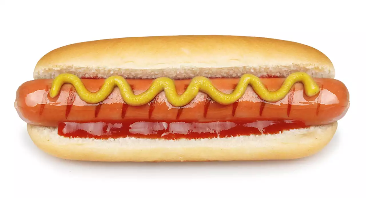 Is a Hotdog a Sandwich? Science Finally Has The Answer