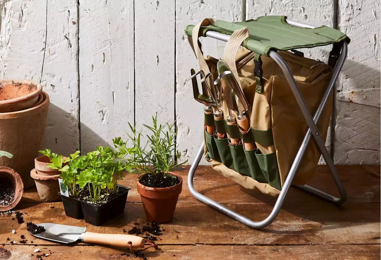 So, When Was the Last Time You Cleaned Your Gardening Tools?