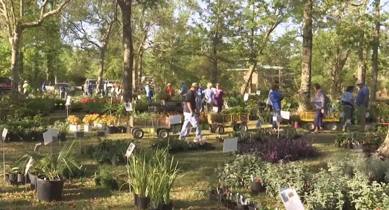 Plants blooming at the Baldwin County Master Gardners’ annual spring plant sale